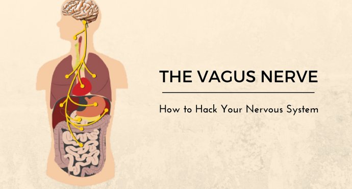 Refleksstimulering af Nerve Vagus​